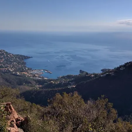 Deux Pieces Rez De Jardin Cap Esterel Esterelvacances Apartamento